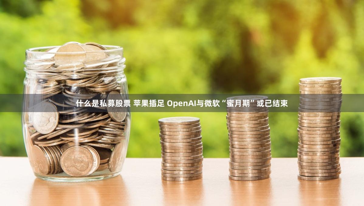 什么是私募股票 苹果插足 OpenAI与微软“蜜月期”或已结束