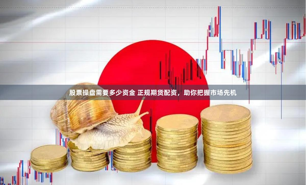 股票操盘需要多少资金 正规期货配资，助你把握市场先机