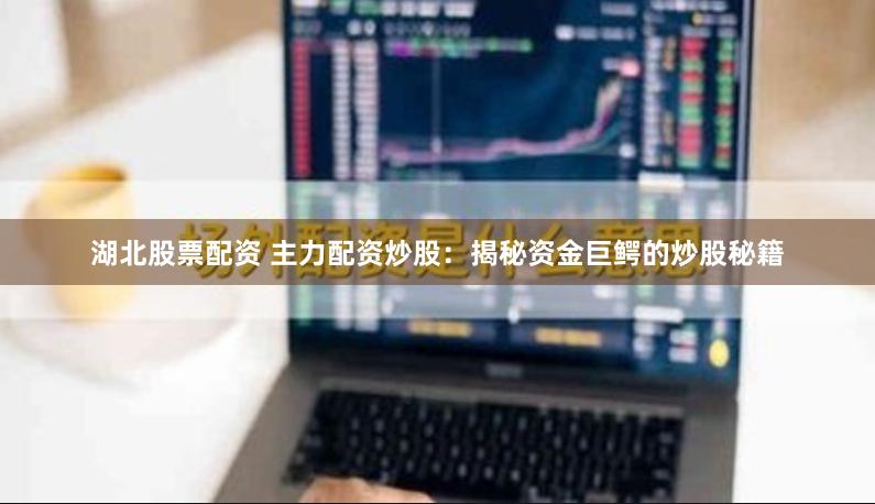 湖北股票配资 主力配资炒股：揭秘资金巨鳄的炒股秘籍